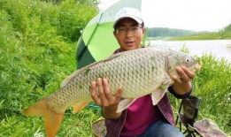 杭州名媛鲤鲤视频爆料,揭秘名媛圈层生活内幕