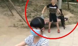 北京爆料熊孩子视频播放