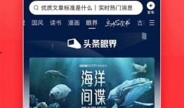 今日头条新闻爆料怎么找,揭秘XX事件背后真相