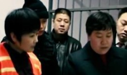 日本导演选举爆料新闻,爆料新闻揭露幕后真相