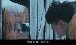 冬电影在线观看,冬电影在线观看，温情回顾