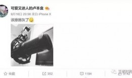 网红爆料赵梦玥视频播放,揭秘网红幕后生活