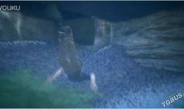 神秘人bug最新爆料图片,揭秘隐藏在图片背后的惊人秘密