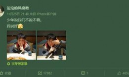 网红家暴事件爆料新闻,真相揭露，网络暴力背后的家庭悲剧