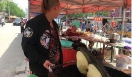 石家庄摆摊爆料视频,烟火气中的民生百态