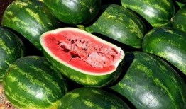 唐山吃瓜爆料视频大全,揭秘幕后真相，带你领略网络舆论风云