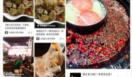 肥猪爆料虎子视频大全,揭秘网络红人背后的故事