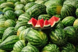 西瓜爆料网红炒作视频,网红炒作视频揭秘，真相令人咋舌