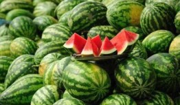 西瓜爆料网红炒作视频,网红炒作视频揭秘，真相令人咋舌