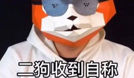 嘎子爆料网红视频,视频爆料背后的惊人真相