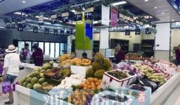 郑州菜市场爆料视频大全,视频大全揭秘真实市井生活