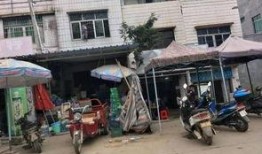 海南儋州爆料事件视频,视频揭露惊人真相