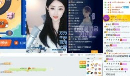 兰姐黑粉爆料视频大全下载,真相与谣言的交织